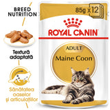Royal Canin Royal Canin Maine Coon Adult Plic 85 G - imagine 1