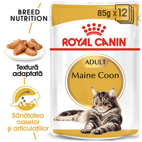 Royal Canin Royal Canin Maine Coon Adult Plic 85 G - imagine 1