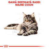 Royal Canin Royal Canin Maine Coon Adult Plic 85 G - imagine 2