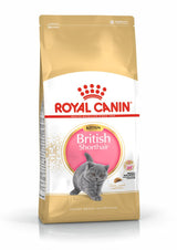 Royal Canin Royal Canin British Shorthair Kitten - imagine 1