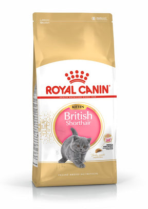 Royal Canin Royal Canin British Shorthair Kitten - imagine 1