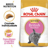 Royal Canin Royal Canin British Shorthair Kitten - imagine 2