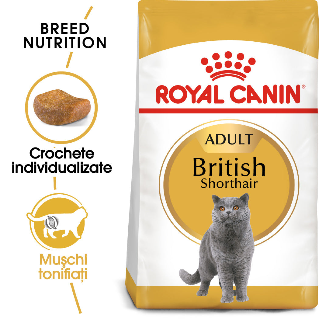 Royal Canin Royal Canin British Shorthair Adult - imagine 2