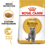 Royal Canin Royal Canin British Shorthair Adult - imagine 2