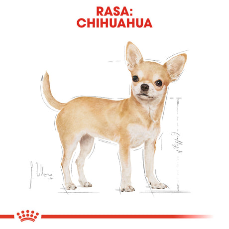 Royal Canin Royal Canin Chihuahua Adult Plic 85 G - imagine 3