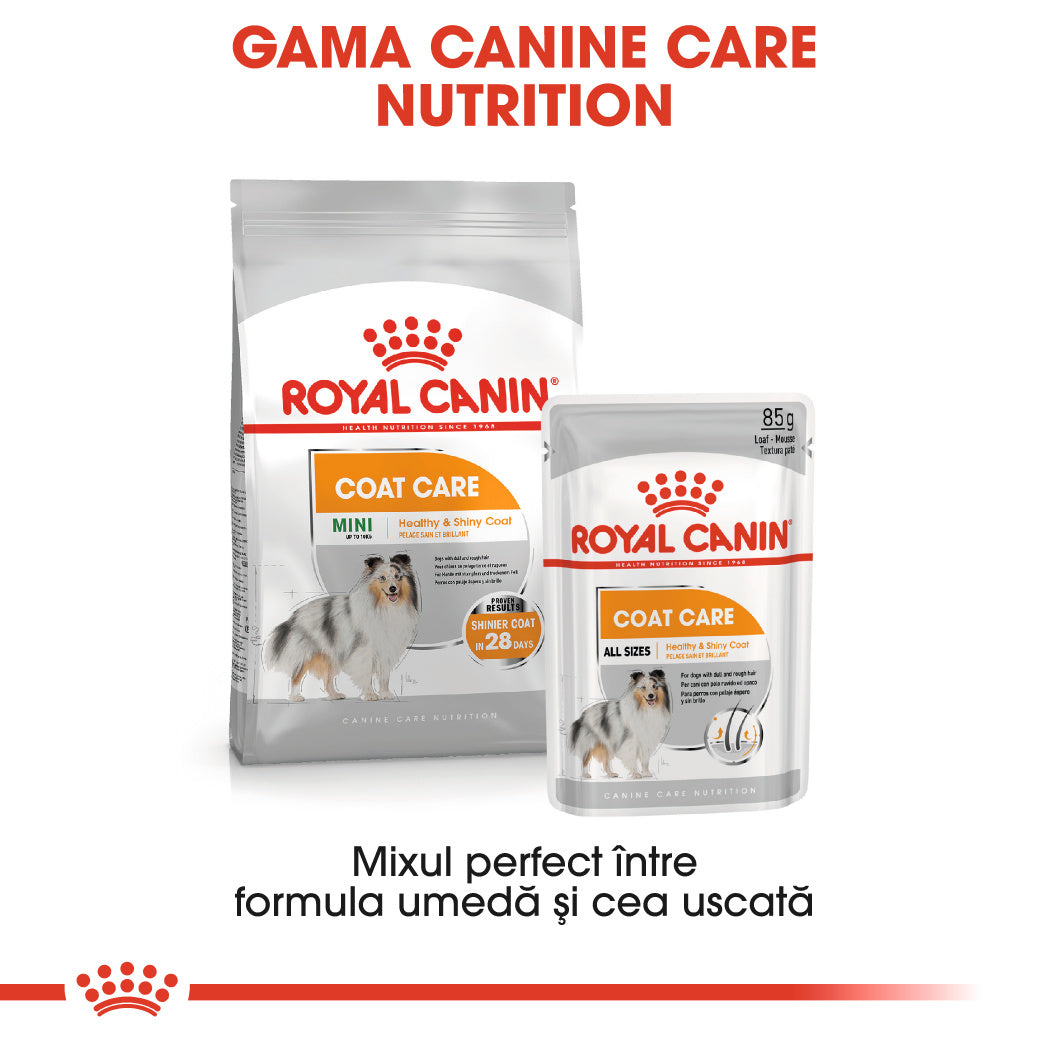 Royal Canin Royal Canin Coat Care Plic 85 G - imagine 2