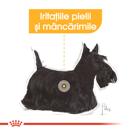 Royal Canin Royal Canin Derma Comfort Loaf Plic 85 G - imagine 3