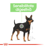 Royal Canin Royal Canin Digestive Care In Loaf Plic 85 G - imagine 3