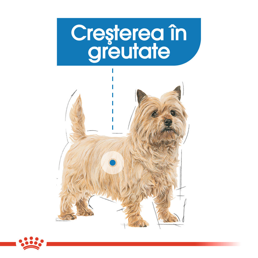 Royal Canin Royal Canin Light Weight Care Loaf Plic 85 G - imagine 3
