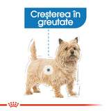 Royal Canin Royal Canin Light Weight Care Loaf Plic 85 G - imagine 3
