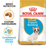 Royal Canin Royal Canin French Bulldog Junior - imagine 2