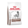 Royal Canin Royal Canin Gastro Intestinal Dog - imagine 1
