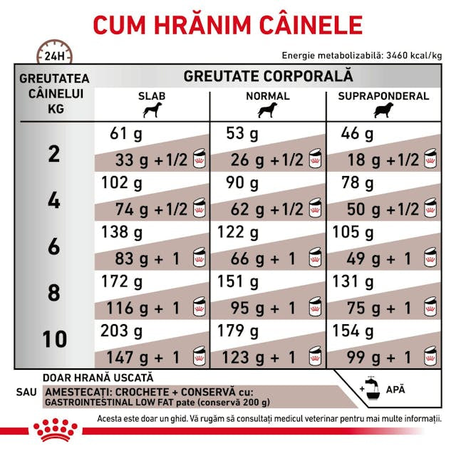 Royal Canin Royal Canin Gastro Intestinal Low Fat S Dog - imagine 3