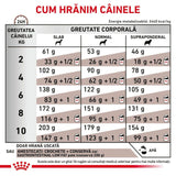Royal Canin Royal Canin Gastro Intestinal Low Fat S Dog - imagine 3