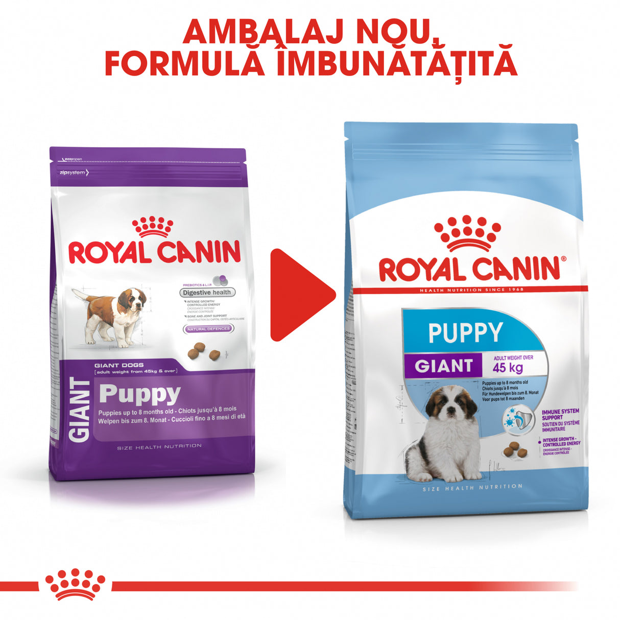 Royal Canin Royal Canin Giant Puppy - imagine 3