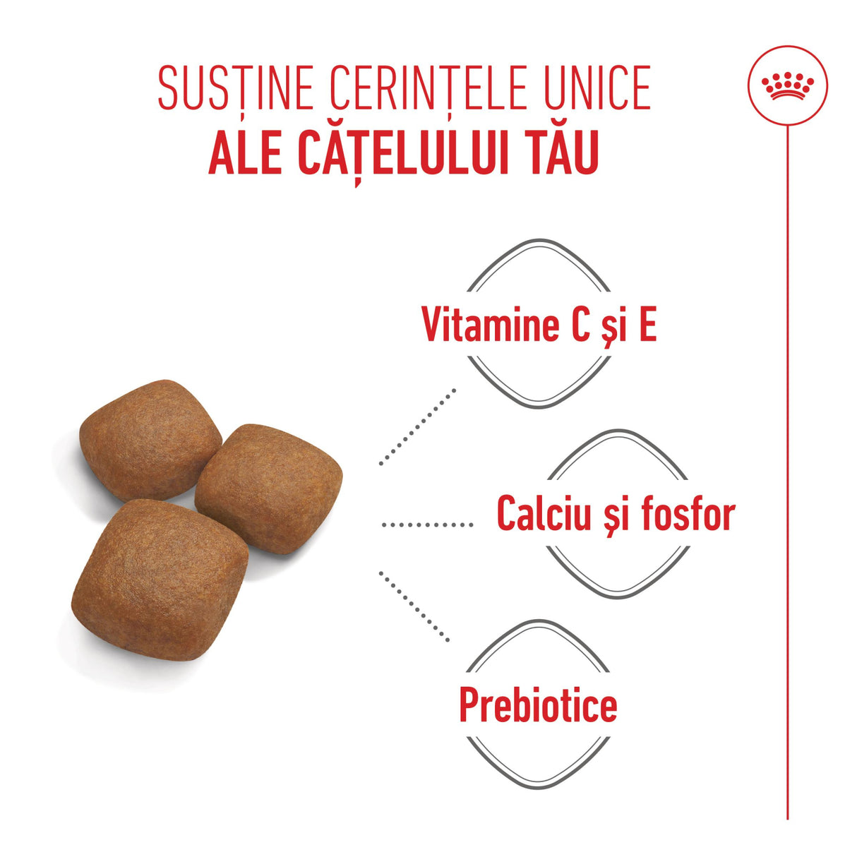 Royal Canin Royal Canin Giant Junior - imagine 3