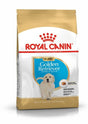 Royal Canin Royal Canin Golden Retriever Junior - imagine 1