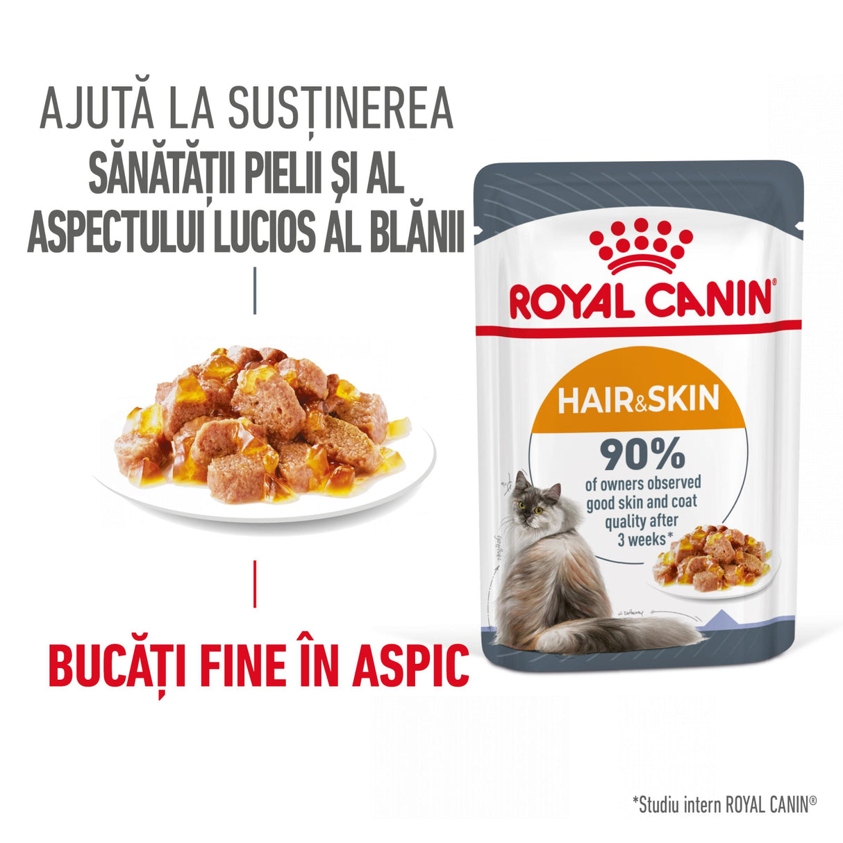 Royal Canin Royal Canin Hair&Skin Care in Jelly 85 G - imagine 2