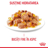 Royal Canin Royal Canin Hair&Skin Care in Jelly 85 G - imagine 3