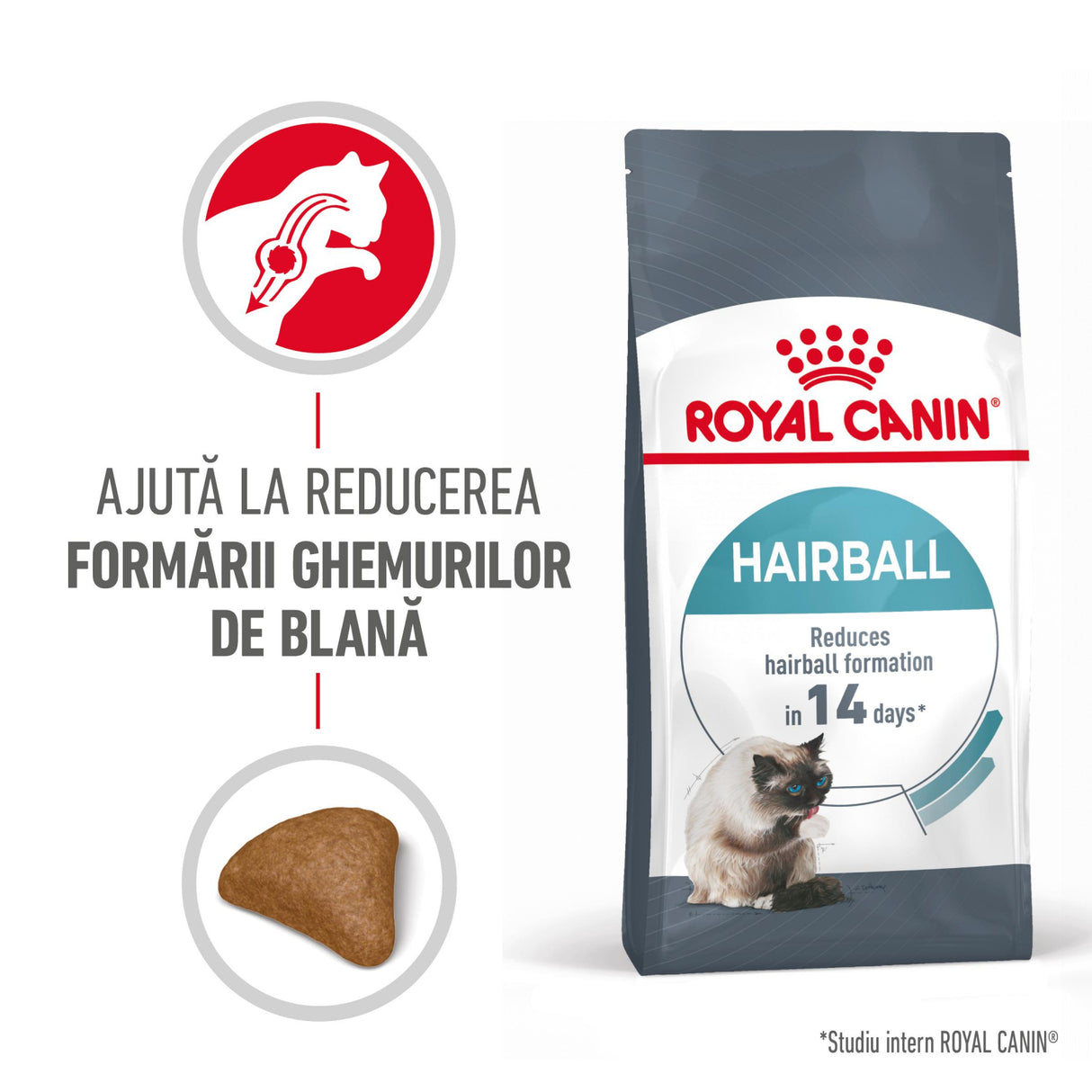 Royal Canin Royal Canin Hairball Care - imagine 3