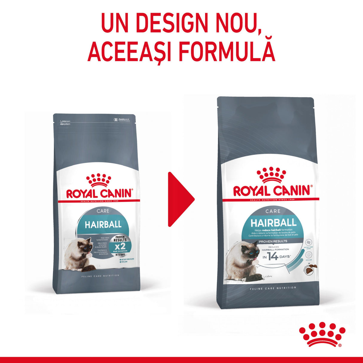 Royal Canin Royal Canin Hairball Care - imagine 2