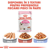Royal Canin Royal Canin Kitten In Loaf Plic 85 G - imagine 2
