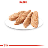 Royal Canin Royal Canin Kitten In Loaf Plic 85 G - imagine 3