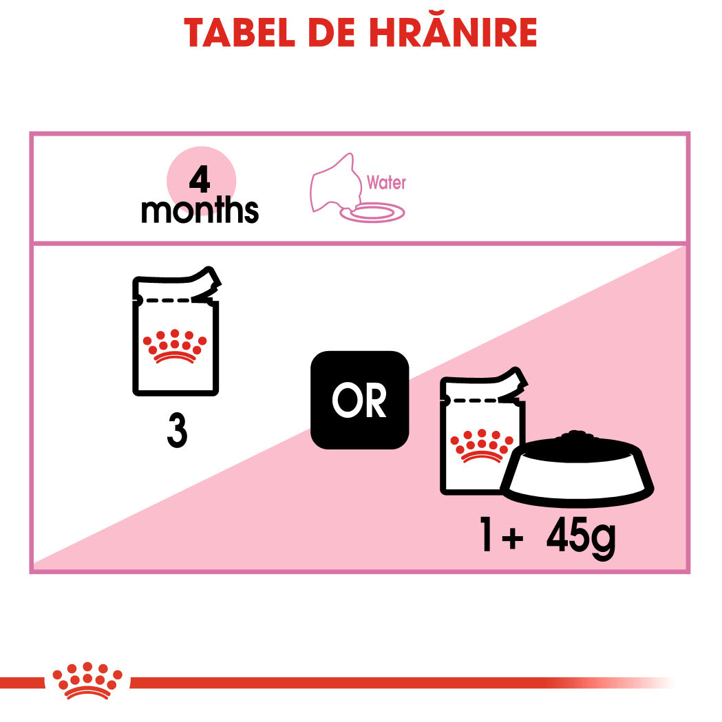 Royal Canin Kitten In Loaf Plic 85 G