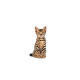 Royal Canin Royal Canin Kitten Sterilised - imagine 3