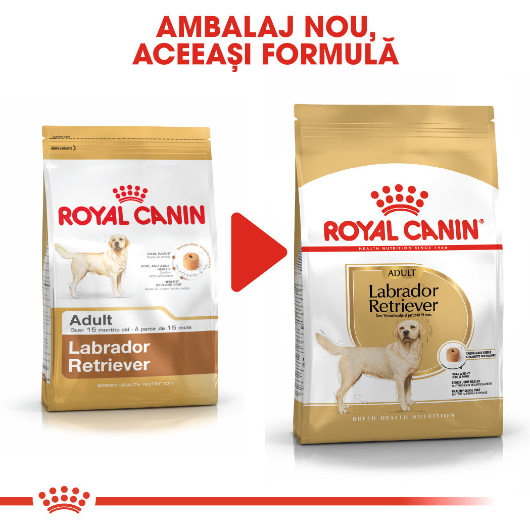 Royal Canin Royal Canin Labrador Retriever Adult - imagine 3