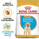 Royal Canin Royal Canin Labrador Retriever Junior - imagine 2