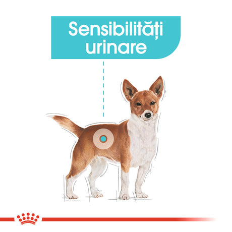 Royal Canin Royal Canin Urinary Care Loaf Plic 85 G - imagine 3