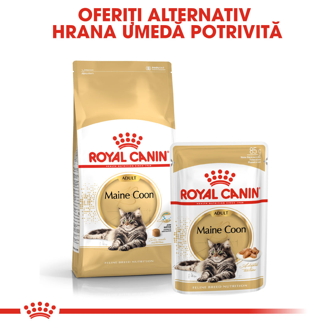 Royal Canin Royal Canin Maine Coon Adult - imagine 3