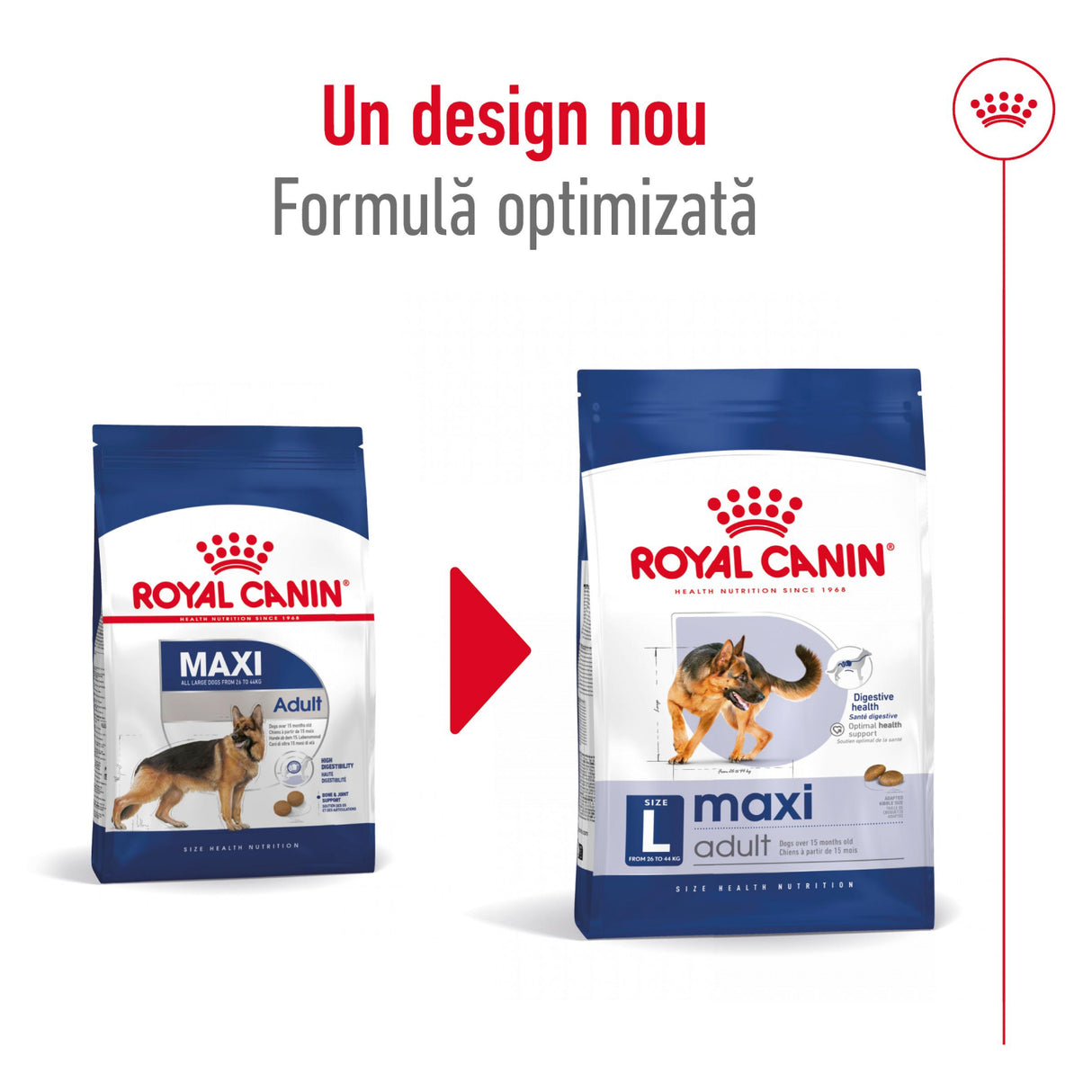 Royal Canin Royal Canin Maxi Adult - imagine 3