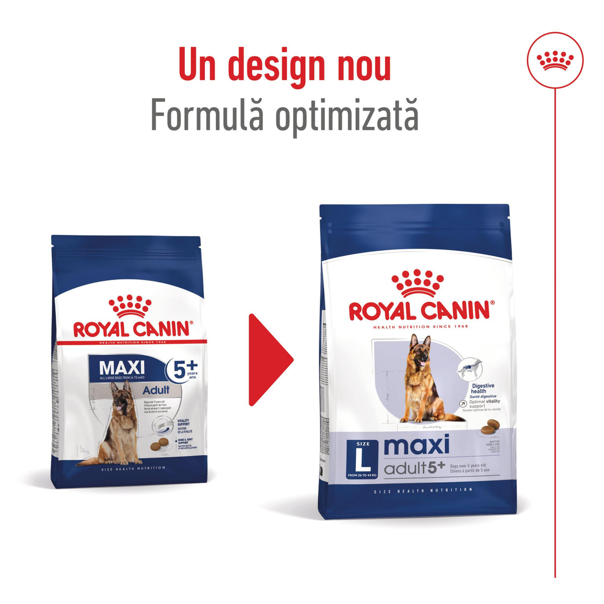 Royal Canin Royal Canin Maxi Adult 5+ - imagine 3