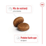 Royal Canin Royal Canin Maxi Adult 5+ - imagine 2