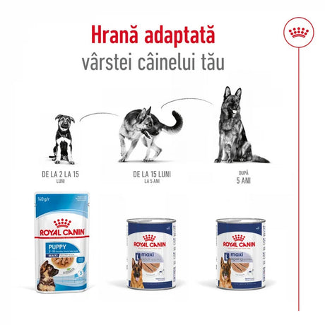 Royal Canin Royal Canin Maxi Adult Hrana Umeda Caini Pate 410 Gr - imagine 3