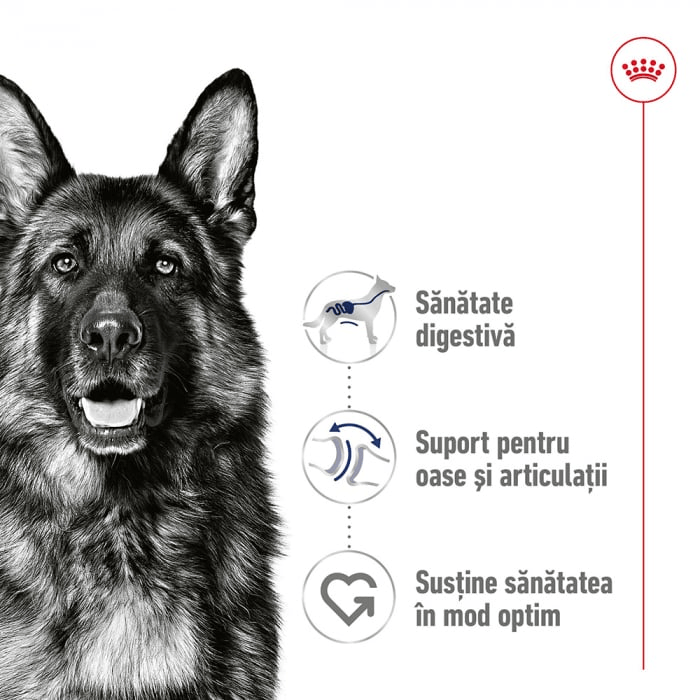 Royal Canin Royal Canin Maxi Adult Hrana Umeda Caini Pate 410 Gr - imagine 2