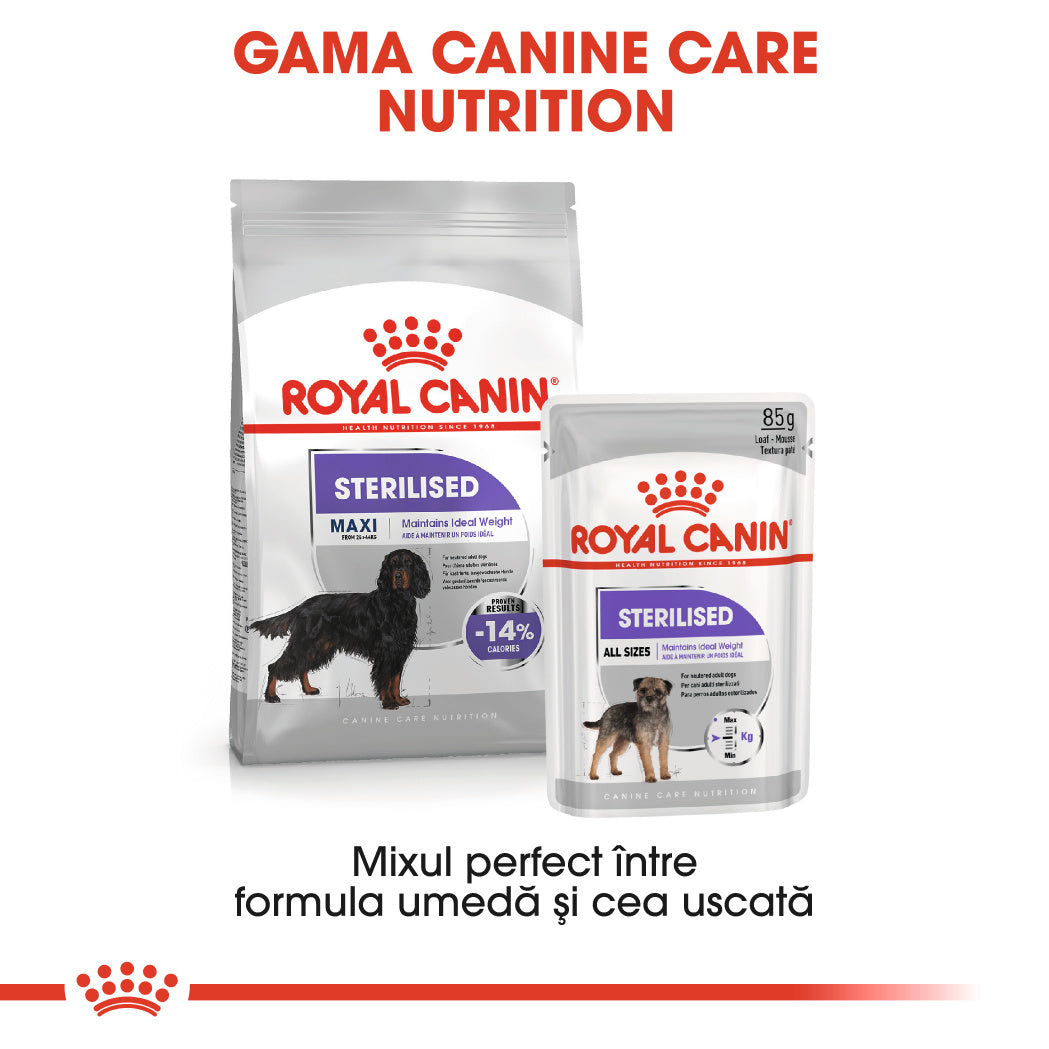 Royal Canin Royal Canin Maxi Adult Sterilised - imagine 3