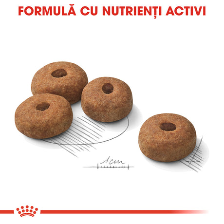 Royal Canin Royal Canin Maxi Adult Sterilised - imagine 2