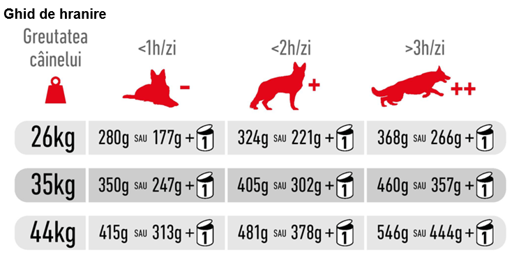 Royal Canin Maxi Adult