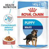 Royal Canin Royal Canin Maxi Puppy Plic 140 G - imagine 1