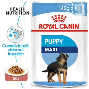 Royal Canin Royal Canin Maxi Puppy Plic 140 G - imagine 1