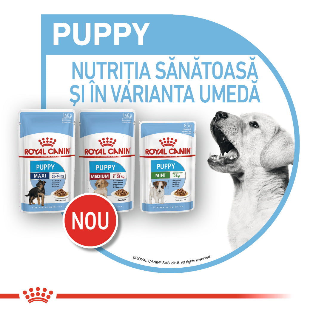 Royal Canin Royal Canin Maxi Puppy Plic 140 G - imagine 2
