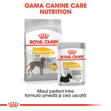 Royal Canin Royal Canin Maxi Dermacomfort - imagine 2