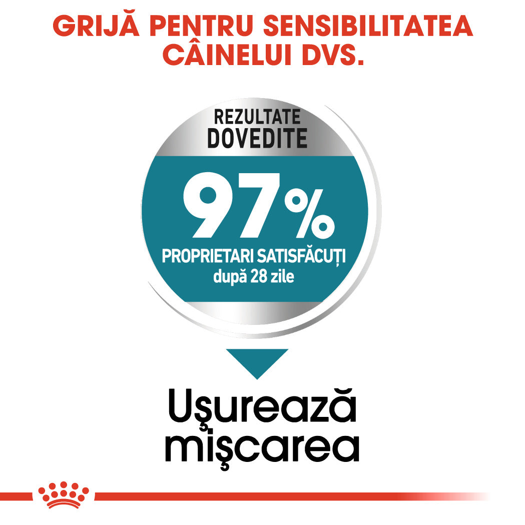 Royal Canin Royal Canin Maxi Joint Care - imagine 2