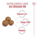 Royal Canin Royal Canin Maxi Puppy - imagine 3