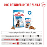 Royal Canin Royal Canin Maxi Puppy - imagine 2