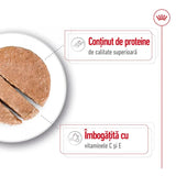 Royal Canin Royal Canin Medium Adult Hrana Umeda Caini Pate 410 Gr - imagine 3