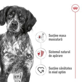 Royal Canin Royal Canin Medium Adult Hrana Umeda Caini Pate 410 Gr - imagine 2